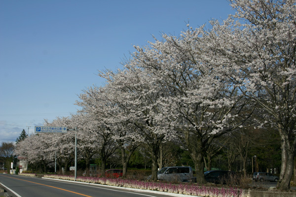 総合公園１_03