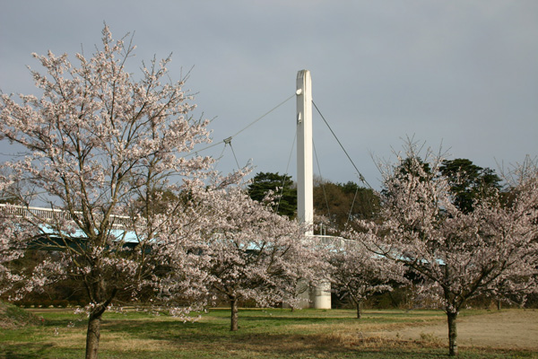 勝山公園２_03